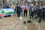 برگزاری آیین درختکاری در دانشکده فنی انقلاب اسلامی 10