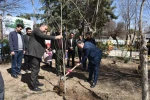 با حضور رئیس دانشگاه فنی و حرفه‌ای کشور صورت گرفت:
غرس چند اصله نهال در دانشکده فنی و حرفه‌ای شهید شمسی‌پور 3