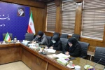 برگزاری جلسه کمیسیون موارد خاص دانشگاه ملی مهارت استان تهران 4