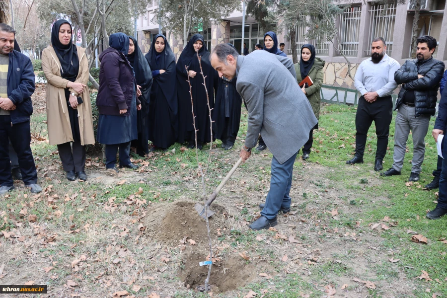 با حضور رئیس دانشگاه ملی مهارت استان تهران صورت گرفت:

برگزاری آیین درختکاری در دانشکده فنی انقلاب اسلامی 3