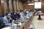 با حضور رییس دانشگاه ملی مهارت؛

نشست هم اندیشی اعضای هیئت علمی استان تهران برگزار شد 5