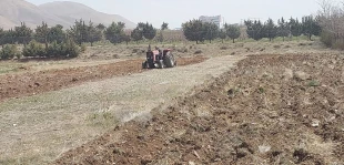 احداث مزرعه آموزشی - پژوهشی در آموزشکده فنی کشاورزی پسران دماوند  2
