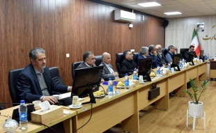 به میزبانی دانشگاه ملی مهارت برگزار شد؛

پانزدهمین جلسه کارگروه بررسی راهکارهای ارتقای علم و فناوری کشور 4