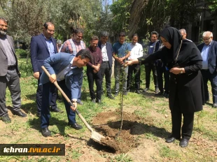 با حضور سرپرست دانشگاه ملی مهارت استان تهران صورت گرفت:

کاشت دو اصله نهال مثمر در پویش "نهال امید" در دانشکده فنی انقلاب اسلامی 2