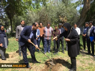 با حضور سرپرست دانشگاه ملی مهارت استان تهران صورت گرفت:

کاشت دو اصله نهال مثمر در پویش "نهال امید" در دانشکده فنی انقلاب اسلامی 2