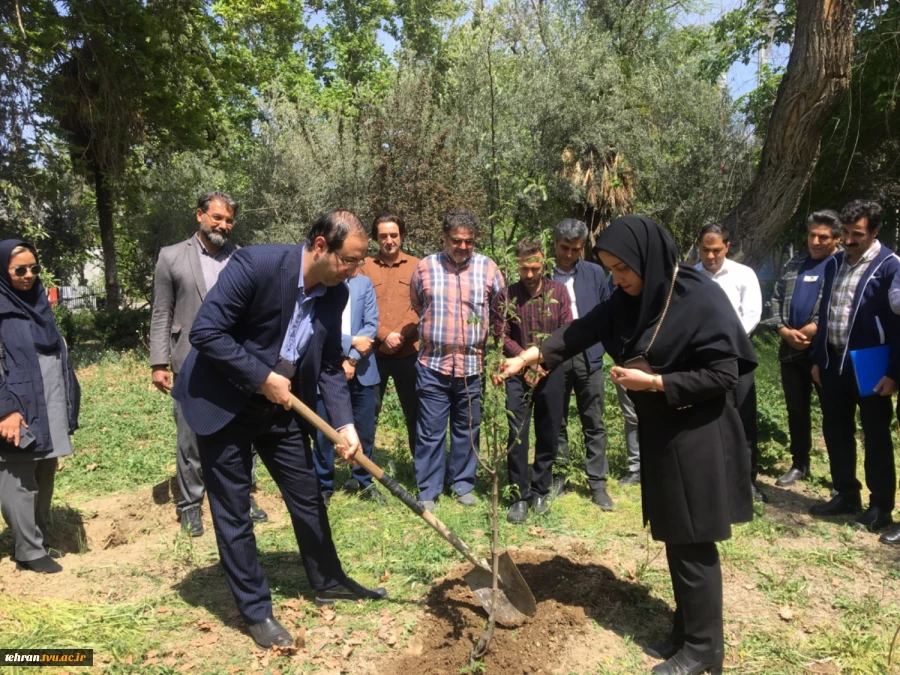 با حضور سرپرست دانشگاه ملی مهارت استان تهران صورت گرفت:

کاشت دو اصله نهال مثمر در پویش "نهال امید" در دانشکده فنی انقلاب اسلامی 2