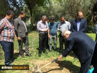 با حضور سرپرست دانشگاه ملی مهارت استان تهران صورت گرفت:

کاشت دو اصله نهال مثمر در پویش "نهال امید" در دانشکده فنی انقلاب اسلامی 3