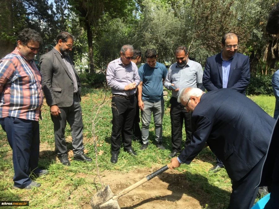 با حضور سرپرست دانشگاه ملی مهارت استان تهران صورت گرفت:

کاشت دو اصله نهال مثمر در پویش "نهال امید" در دانشکده فنی انقلاب اسلامی 3