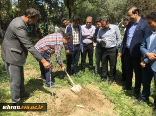 با حضور سرپرست دانشگاه ملی مهارت استان تهران صورت گرفت:

کاشت دو اصله نهال مثمر در پویش "نهال امید" در دانشکده فنی انقلاب اسلامی 2