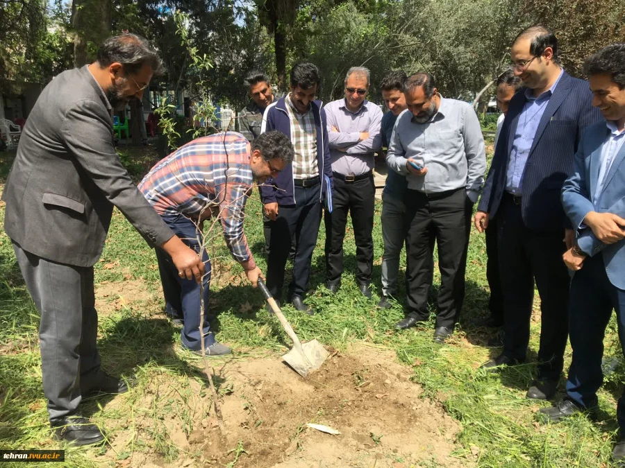 با حضور سرپرست دانشگاه ملی مهارت استان تهران صورت گرفت:

کاشت دو اصله نهال مثمر در پویش "نهال امید" در دانشکده فنی انقلاب اسلامی 2