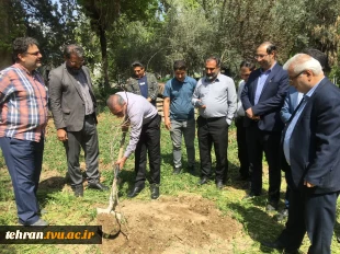 با حضور سرپرست دانشگاه ملی مهارت استان تهران صورت گرفت:

کاشت دو اصله نهال مثمر در پویش "نهال امید" در دانشکده فنی انقلاب اسلامی 3