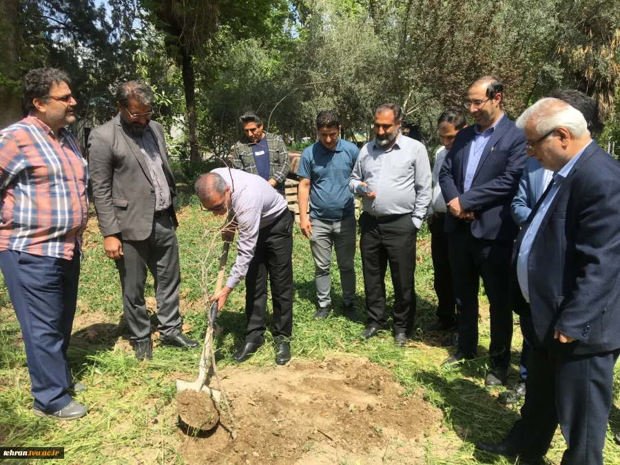 با حضور سرپرست دانشگاه ملی مهارت استان تهران صورت گرفت:

کاشت دو اصله نهال مثمر در پویش "نهال امید" در دانشکده فنی انقلاب اسلامی 3