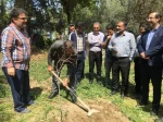 با حضور سرپرست دانشگاه ملی مهارت استان تهران صورت گرفت:

کاشت دو اصله نهال مثمر در پویش 