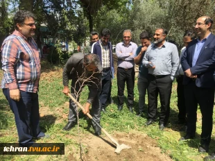 با حضور سرپرست دانشگاه ملی مهارت استان تهران صورت گرفت:

کاشت دو اصله نهال مثمر در پویش "نهال امید" در دانشکده فنی انقلاب اسلامی 4