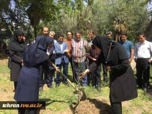 با حضور سرپرست دانشگاه ملی مهارت استان تهران صورت گرفت:

کاشت دو اصله نهال مثمر در پویش "نهال امید" در دانشکده فنی انقلاب اسلامی 5